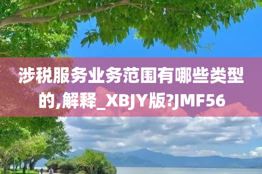 涉税服务业务范围有哪些类型的,解释_XBJY版?JMF56