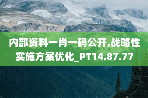 内部资料一肖一码公开,战略性实施方案优化_PT14.87.77