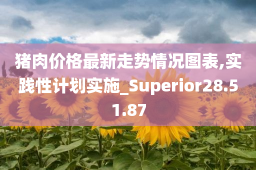 猪肉价格最新走势情况图表,实践性计划实施_Superior28.51.87