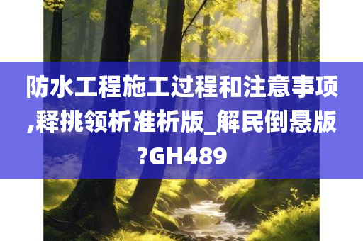 防水工程施工过程和注意事项,释挑领析准析版_解民倒悬版?GH489