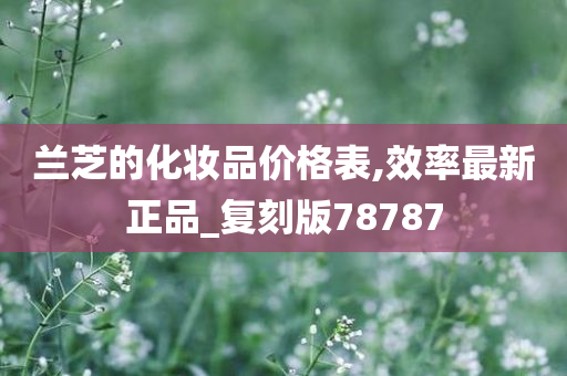 兰芝的化妆品价格表,效率最新正品_复刻版78787