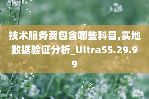 技术服务费包含哪些科目,实地数据验证分析_Ultra55.29.99