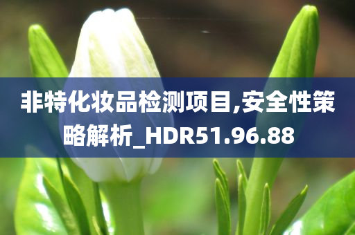 非特化妆品检测项目,安全性策略解析_HDR51.96.88