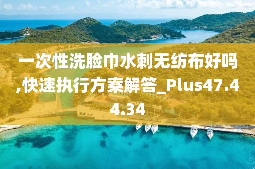 一次性洗脸巾水刺无纺布好吗,快速执行方案解答_Plus47.44.34