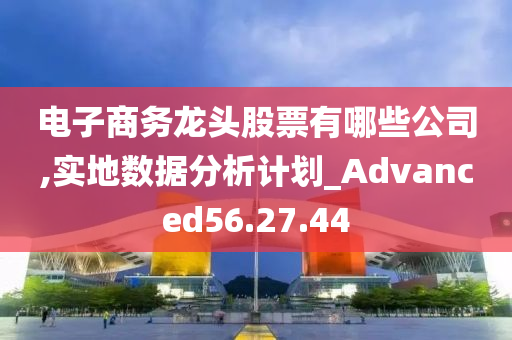 电子商务龙头股票有哪些公司,实地数据分析计划_Advanced56.27.44