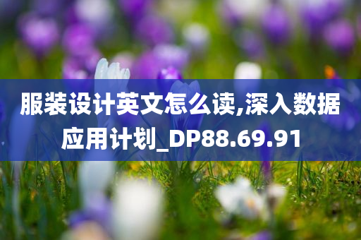 服装设计英文怎么读,深入数据应用计划_DP88.69.91