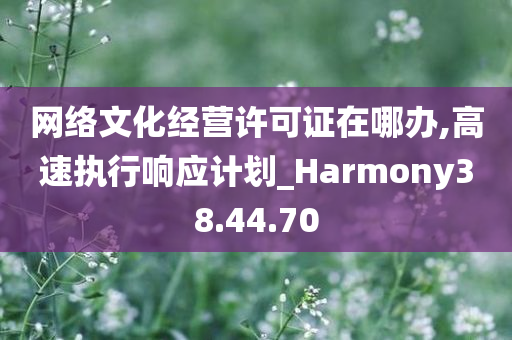 网络文化经营许可证在哪办,高速执行响应计划_Harmony38.44.70