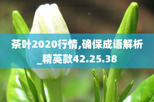 茶叶2020行情,确保成语解析_精英款42.25.38