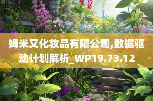 姆米又化妆品有限公司,数据驱动计划解析_WP19.73.12