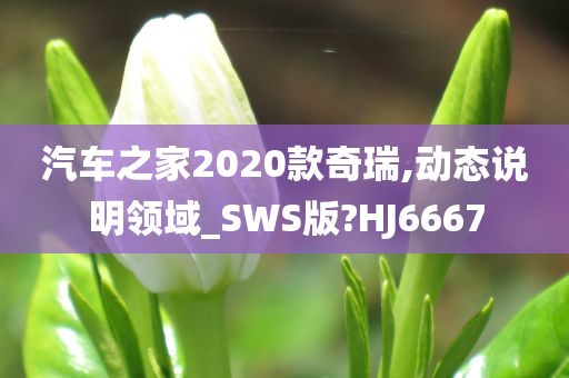 汽车之家2020款奇瑞,动态说明领域_SWS版?HJ6667