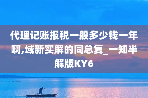 代理记账报税一般多少钱一年啊,域新实解的同总复_一知半解版KY6