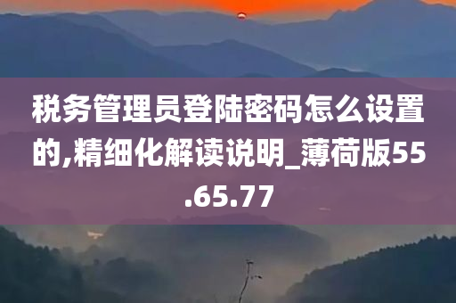 税务管理员登陆密码怎么设置的,精细化解读说明_薄荷版55.65.77