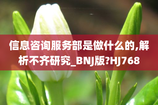 信息咨询服务部是做什么的,解析不齐研究_BNJ版?HJ768