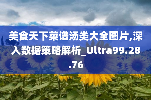 美食天下菜谱汤类大全图片,深入数据策略解析_Ultra99.28.76