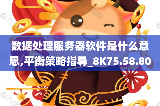 数据处理服务器软件是什么意思,平衡策略指导_8K75.58.80