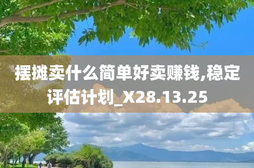 摆摊卖什么简单好卖赚钱,稳定评估计划_X28.13.25