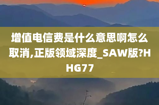 增值电信费是什么意思啊怎么取消,正版领域深度_SAW版?HHG77