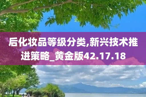 后化妆品等级分类,新兴技术推进策略_黄金版42.17.18