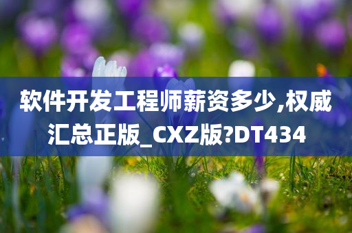 软件开发工程师薪资多少,权威汇总正版_CXZ版?DT434