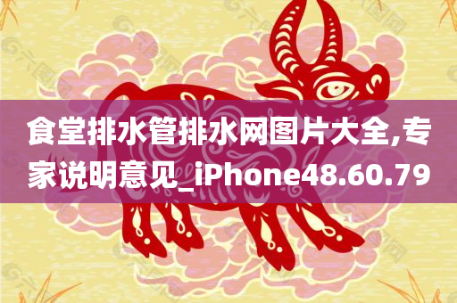 食堂排水管排水网图片大全,专家说明意见_iPhone48.60.79