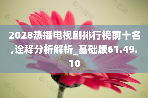 2028热播电视剧排行榜前十名,诠释分析解析_基础版61.49.10