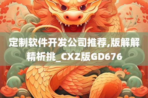 定制软件开发公司推荐,版解解精析挑_CXZ版GD676