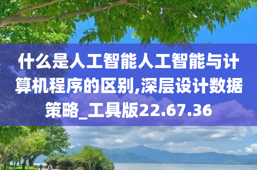 什么是人工智能人工智能与计算机程序的区别,深层设计数据策略_工具版22.67.36