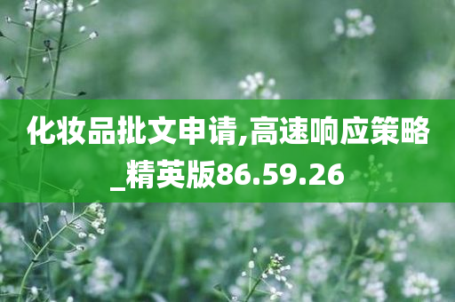 化妆品批文申请,高速响应策略_精英版86.59.26