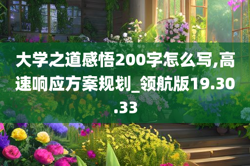 大学之道感悟200字怎么写,高速响应方案规划_领航版19.30.33