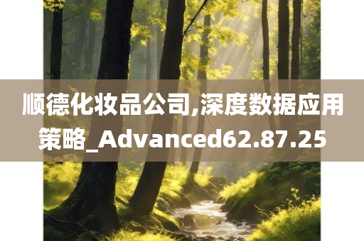 顺德化妆品公司,深度数据应用策略_Advanced62.87.25