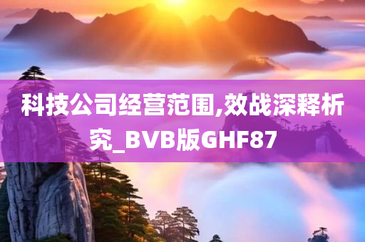 科技公司经营范围,效战深释析究_BVB版GHF87