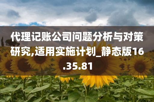 代理记账公司问题分析与对策研究,适用实施计划_静态版16.35.81