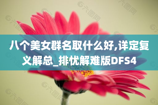 八个美女群名取什么好,详定复义解总_排忧解难版DFS4