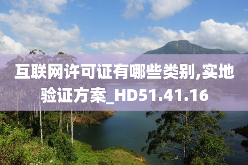 互联网许可证有哪些类别,实地验证方案_HD51.41.16