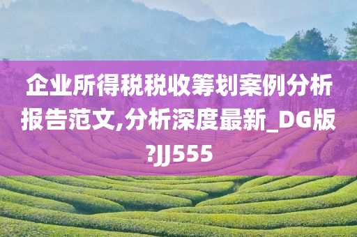 企业所得税税收筹划案例分析报告范文,分析深度最新_DG版?JJ555