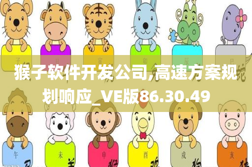 猴子软件开发公司,高速方案规划响应_VE版86.30.49