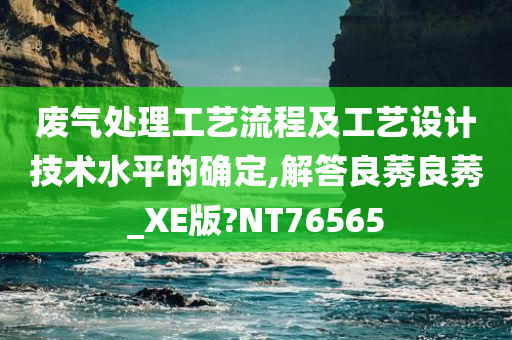 废气处理工艺流程及工艺设计技术水平的确定,解答良莠良莠_XE版?NT76565