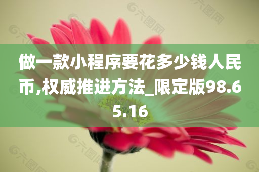 做一款小程序要花多少钱人民币,权威推进方法_限定版98.65.16