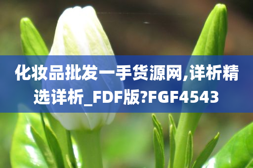 化妆品批发一手货源网,详析精选详析_FDF版?FGF4543