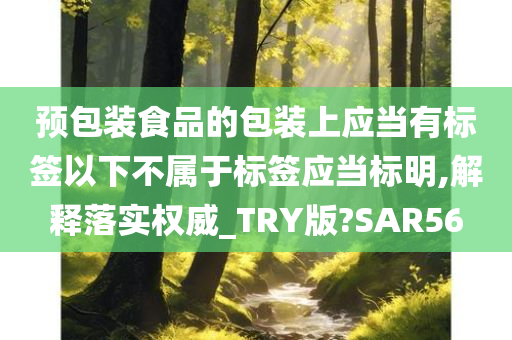 预包装食品的包装上应当有标签以下不属于标签应当标明,解释落实权威_TRY版?SAR56