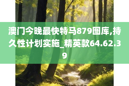 澳门今晚最快特马879图库,持久性计划实施_精英款64.62.39