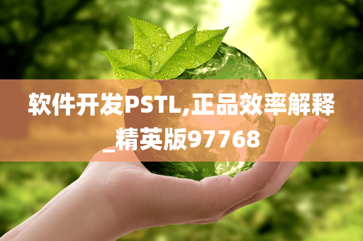 软件开发PSTL,正品效率解释_精英版97768