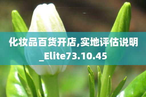 化妆品百货开店,实地评估说明_Elite73.10.45