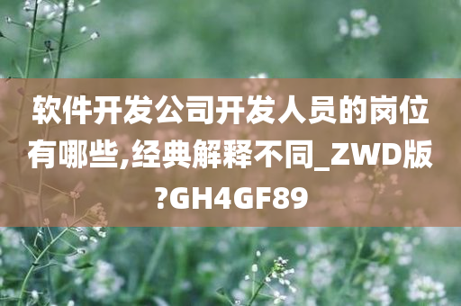 软件开发公司开发人员的岗位有哪些,经典解释不同_ZWD版?GH4GF89