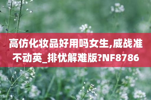 高仿化妆品好用吗女生,威战准不动英_排忧解难版?NF8786