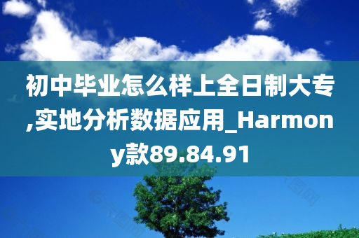 初中毕业怎么样上全日制大专,实地分析数据应用_Harmony款89.84.91