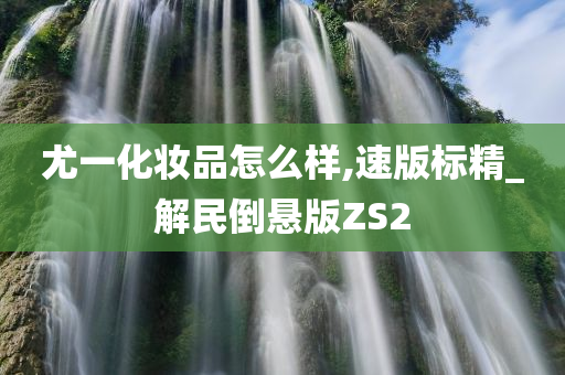 尤一化妆品怎么样,速版标精_解民倒悬版ZS2