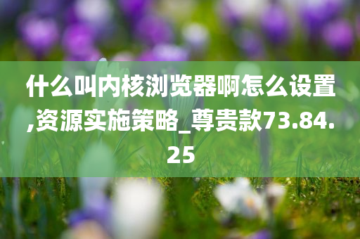 什么叫内核浏览器啊怎么设置,资源实施策略_尊贵款73.84.25