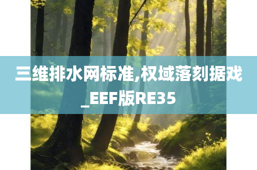 三维排水网标准,权域落刻据戏_EEF版RE35