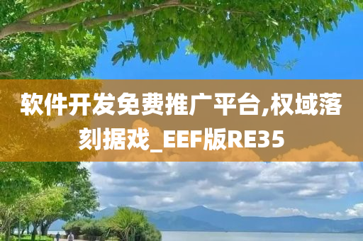 软件开发免费推广平台,权域落刻据戏_EEF版RE35